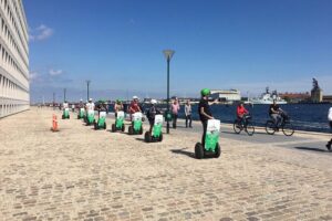 1 Hour Copenhagen Segway Tour - Cruising Past the Water First: The Car-Free Start and Two Mermaid Encounters