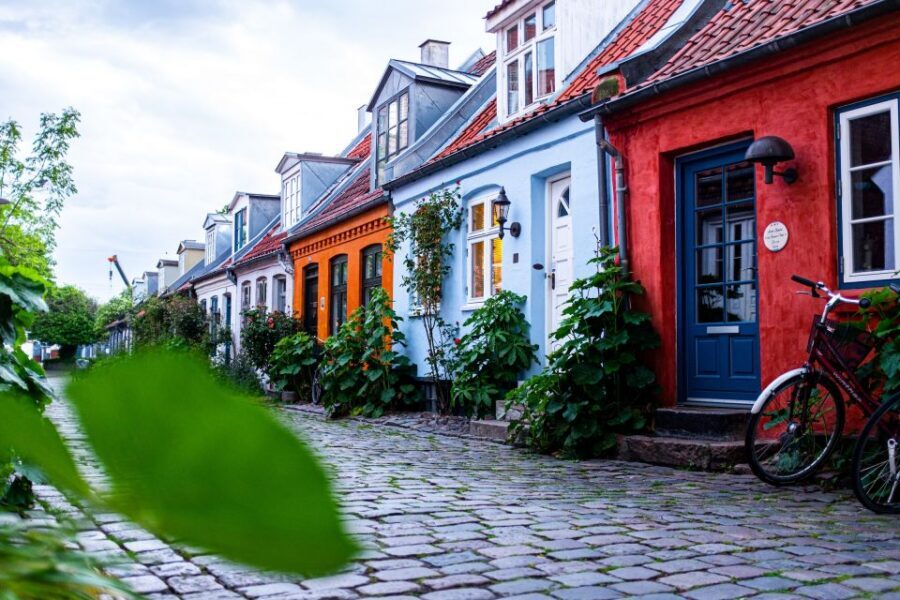 Aarhus: Surprise City Walking Tour with Local Guide - The guide experience: when it’s excellent, and when it’s just okay