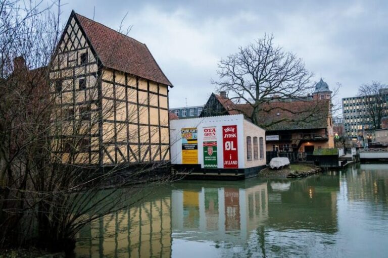 Aarhus Walking Tour: From Viking Village to Metropolis - Architecture Outside, Museums Optional