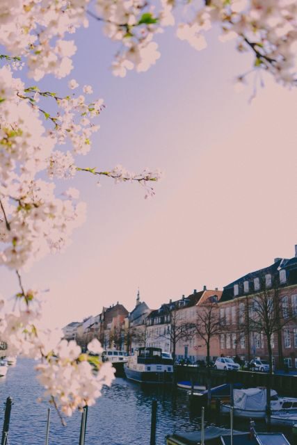 Best of Copenhagen Biking Tour-3 Hours, Small Group max 10 - Secret Gardens, Courtyards, and Hidden Churches Along the Route