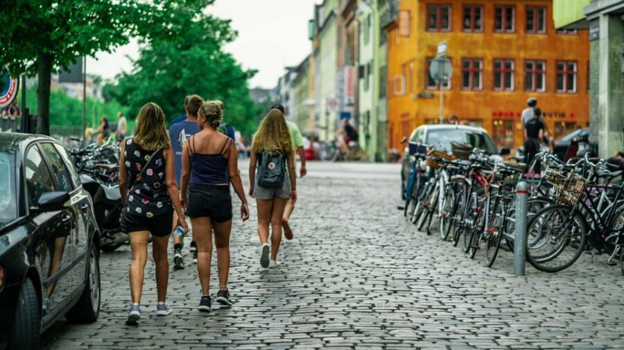 Copenhagen: 1.5-hour Private Walking Tour of Christianshavn - Price and value: $683 for a private slot