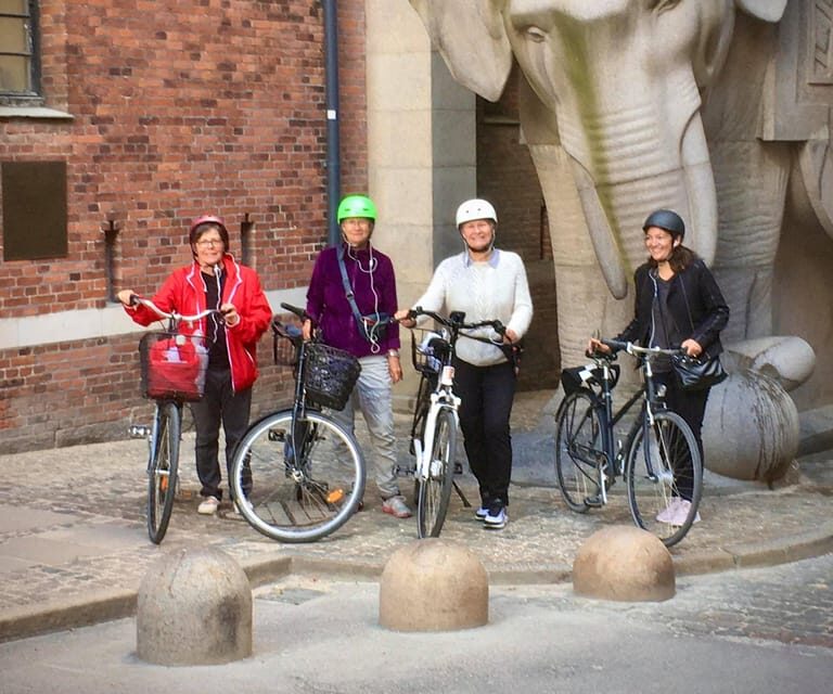 Copenhagen: 2,5-Hour 'Must See' Bike Tour with a Local Guide - Meeting Copenhagen Vibes and Getting Fitted Fast