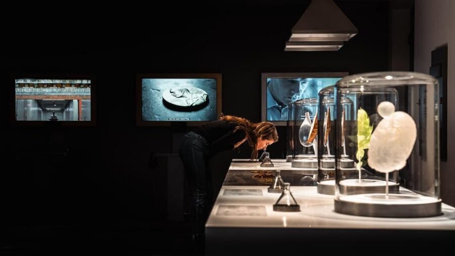 Copenhagen: Home of Carlsberg Experience Entry Ticket - Timing tips: avoid the late-day disappointment