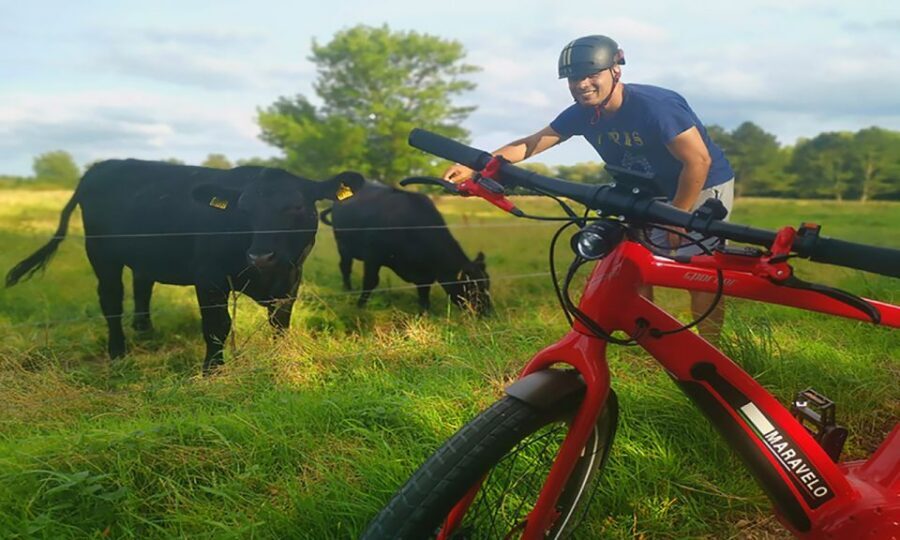 Copenhagen: Private Forgotten Giants E-Bike Treasure Hunt - Price and Value: What $213 Buys You