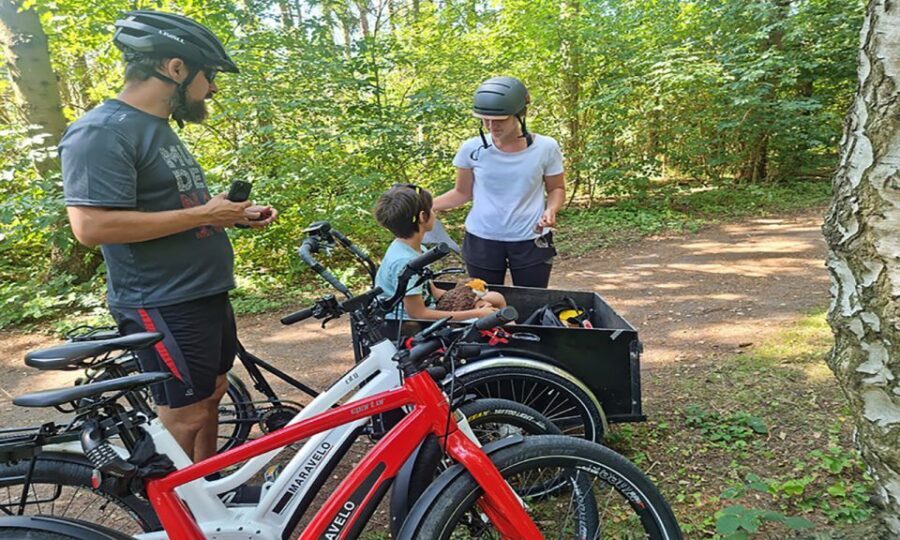 Copenhagen: Private Forgotten Giants E-Bike Treasure Hunt - Should You Book This Forgotten Giants E-Bike Treasure Hunt?