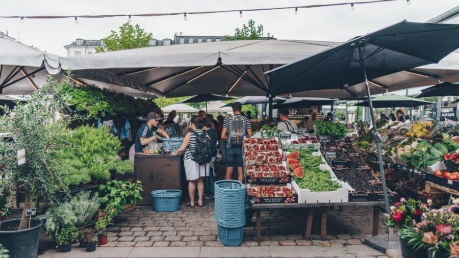 Copenhagen: Private Gourmet Tour - Dietary restrictions: real accommodation, not a vague promise
