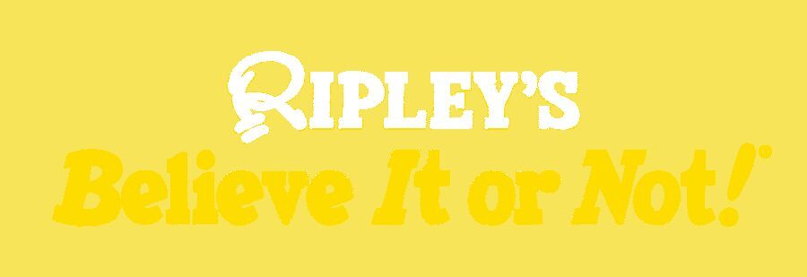 Copenhagen: Ripley's Believe It or Not! 4-Way Combo Ticket - Price and value: is $45 a good deal for four attractions?