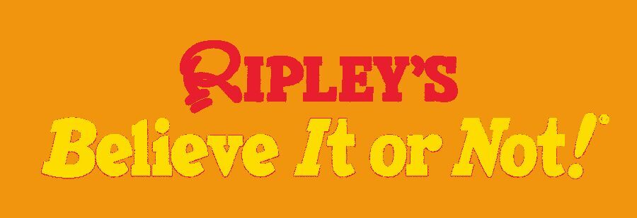 Copenhagen: Ripley's Believe It or Not! Admission Ticket - Best Timing and Group-Friendly Practicalities