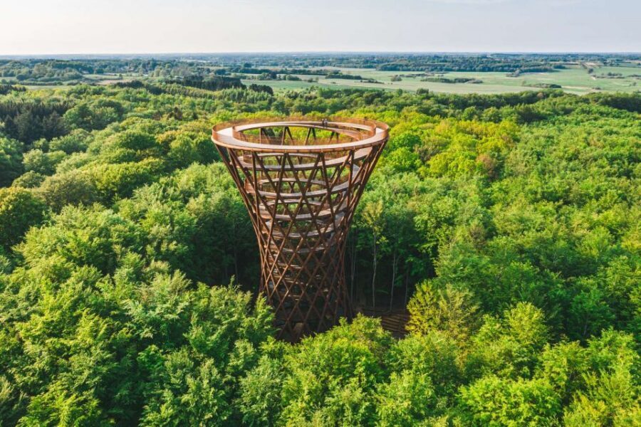 Copenhagen: The Forest Tower & Forgotten Giants Trolls Trip - What You’ll See on a Clear Day Versus a Cloudy One