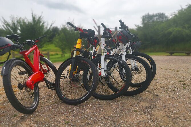 E-biking Central Forgotten Giants' s Adventure - The countryside ride: what it feels like between the sculptures