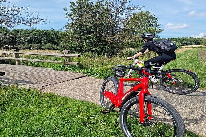 E-biking Northern Forgotten Giants' s Adventure - Zealand scenery by e-bike: why the ride is part of the art