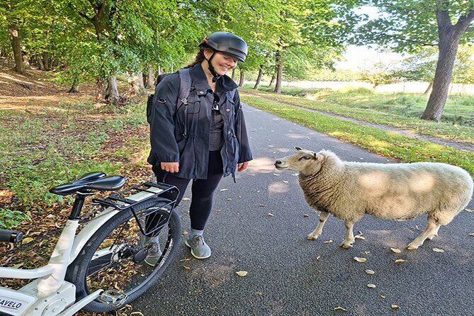 E-biking Northern Forgotten Giants' s Adventure - Who should book this e-bike giant hunt?