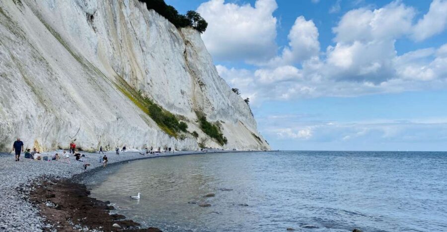 From Copenhagen: Round-Trip to Møns Klint and Forest Tower - Should You Book This Copenhagen Day Trip?