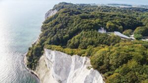From Copenhagen: Round-Trip to Møns Klint and Forest Tower - Forest Tower: A Wooden Climb With Forest-Top Views