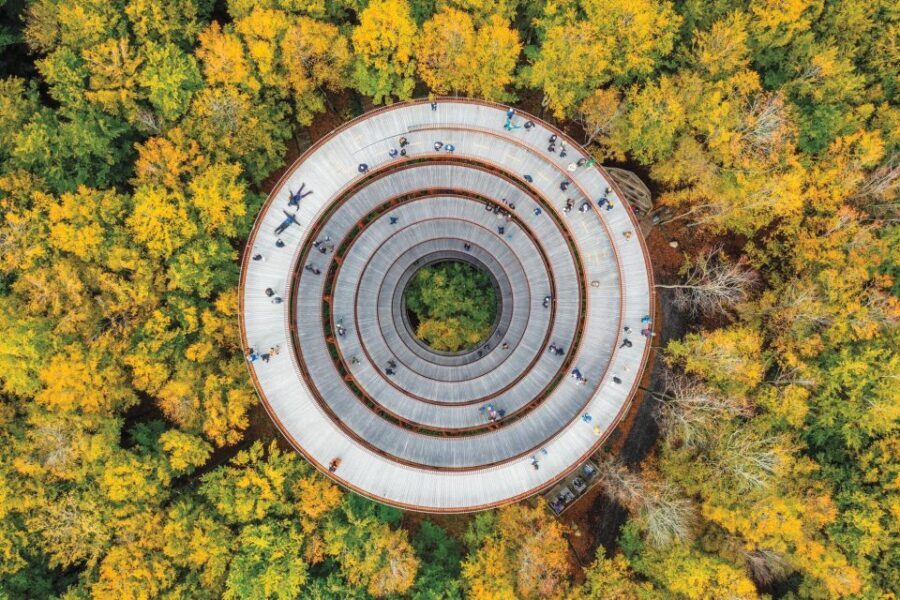 From Copenhagen: Round-Trip to Møns Klint and Forest Tower - Dronning Alexandrines Bro Photo Stop: Quick Views, No Pressure