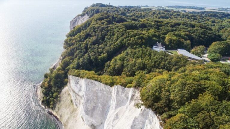From Copenhagen: Round-Trip to Møns Klint and Forest Tower - Forest Tower: A Wooden Climb With Forest-Top Views