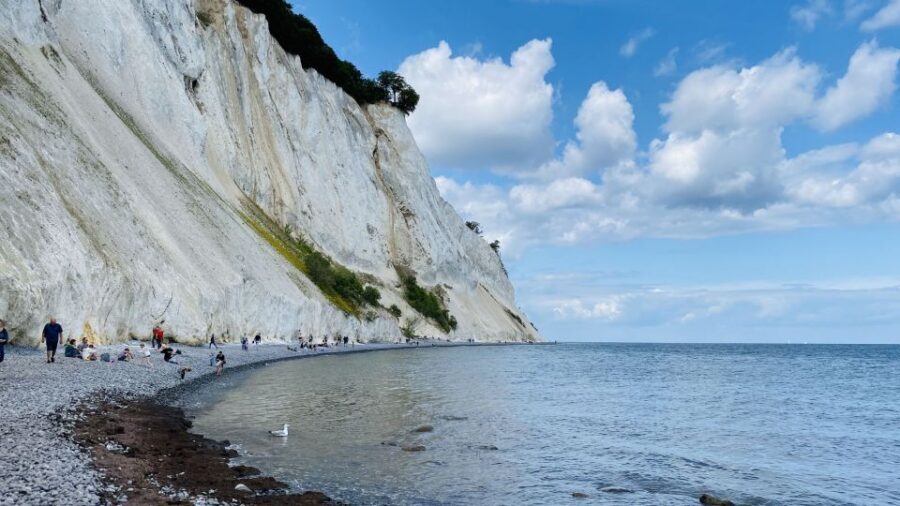 From Copenhagen: Round-Trip to Møns Klint and Forest Tower - Who Should Book This (and Who Should Skip It)