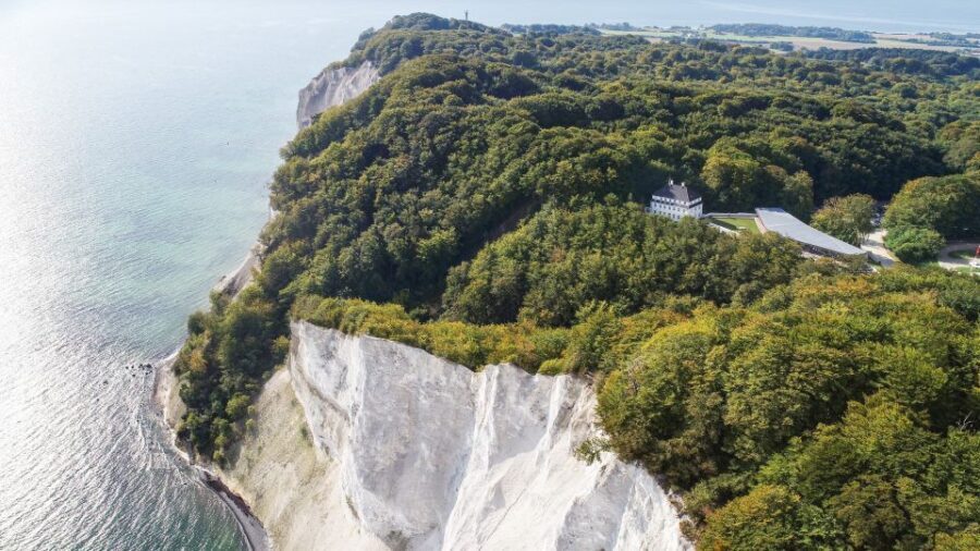 From Copenhagen: Round-Trip to Møns Klint and Forest Tower - Forest Tower: A Wooden Climb With Forest-Top Views