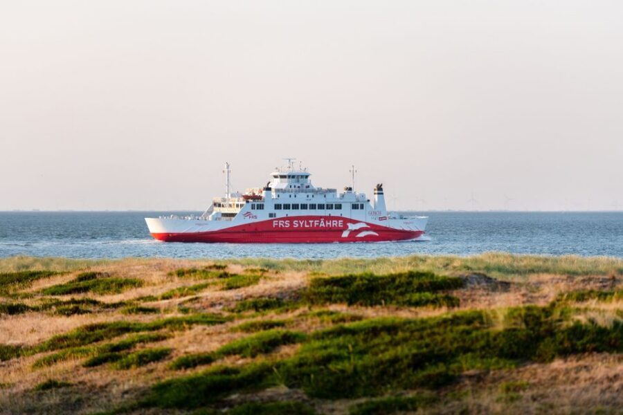 From Rømø: One-Way or Roundtrip Passenger Ferry to Sylt - Getting on board fast: how pre-booking helps with real-world stress
