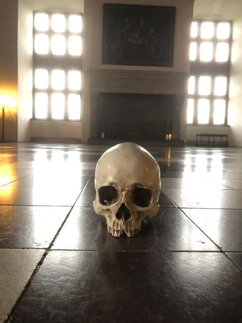 Full-Day Tour; Castle, Palace, Cathedral and Viking Ships - A 9.5-hour sampler of Kronborg, Frederiksborg, Roskilde, and Vikings