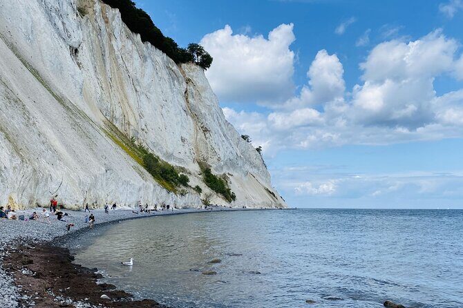 Møns klint and The Forest tower - A day tour from Copenhagen - Key things to know before you go