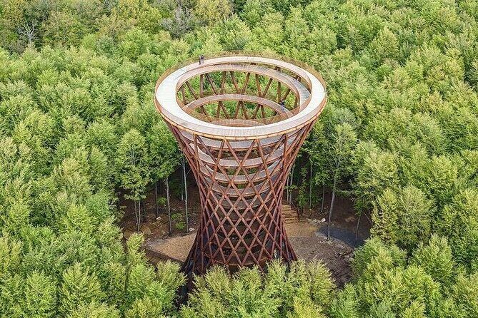 Møns klint and The Forest tower - A day tour from Copenhagen - Forest Tower Camp Adventure: Walkways, Climb Effort, and the Observation Deck