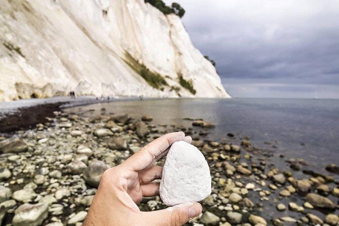 Møns klint and The Forest tower - A day tour from Copenhagen - Who Should Book This Forest Tower and Møns Klint Tour