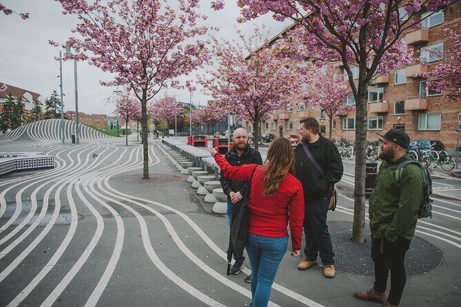 Nørrebro Neighborhood Tour - Where this tour really shines: small-group local insight