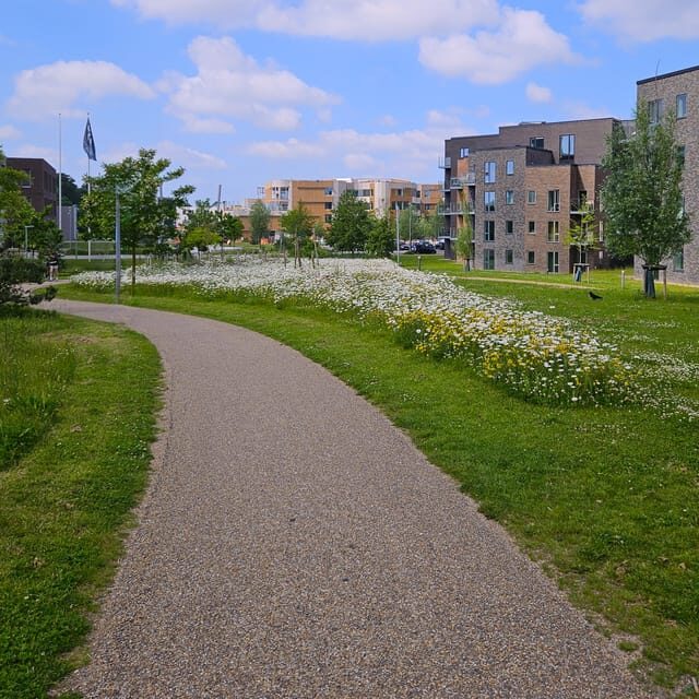 Odense: City walk - The new green Odense - City development - Price, pacing, and the 4 km walking reality
