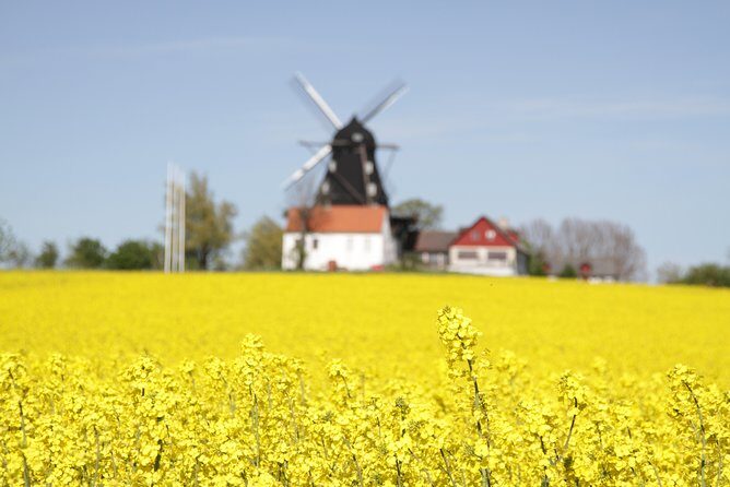 Private tour Copenhagen to Lund & Malmö City daytrip - How Much Value Are You Really Getting for the Price?