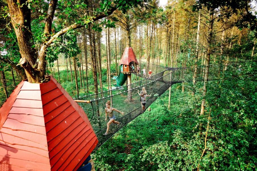 Skjern: WOW PARK Entry Ticket - Treetops and hanging routes: bridges, ziplines, and slides