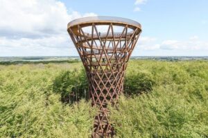 The Forest Tower and Forgotten Giants-A day tour from Copenhagen - Getting out of Copenhagen: minibus comfort and timing you can plan around